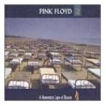 A Momentary Lapse Of Reason